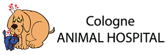 Link to Homepage of Cologne Animal Hospital