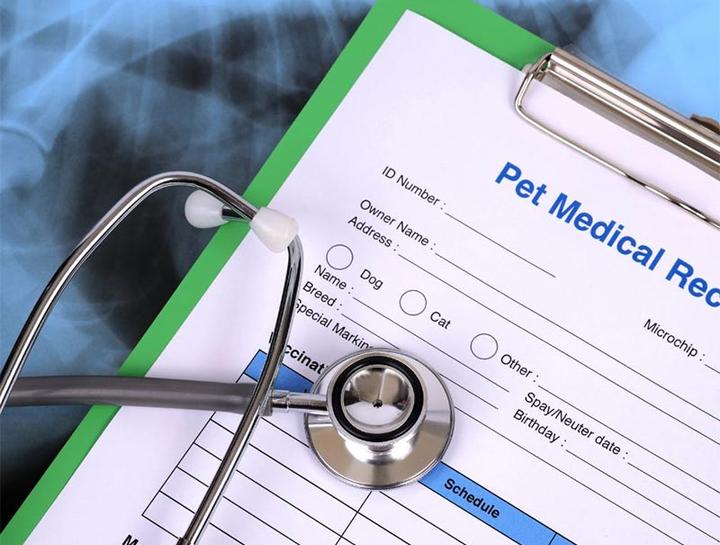 Pet Portal Cologne Animal Hospital