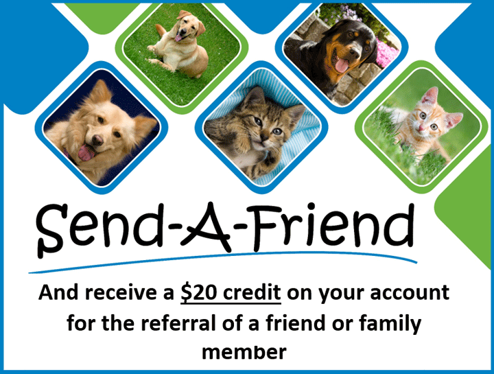 Send a Friend & Get $20 Off